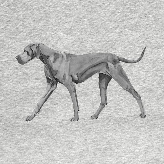 Great Dane Blue by doggyshop